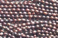 FWP 16inch Strand of 6x4mm Dark Copper Brown Pearls